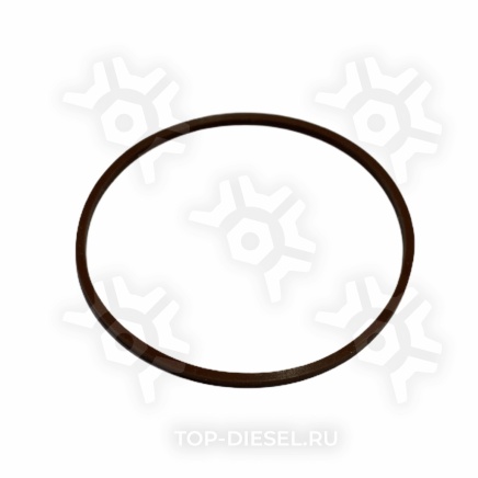 3678536IPD Кольцо уплотнительное стакана форсунки Cummins ISX Freightliner/International IPD купить