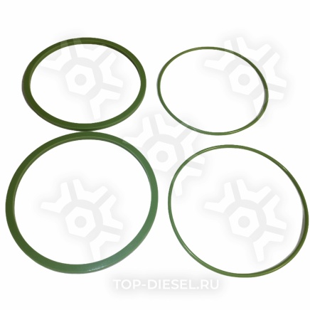 74061012000 Ремкомплект масляного фильтра Камаз Евро силикон Kamaz купить