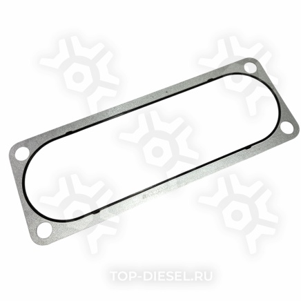 M3678770 Прокладка впускного коллектора Cummins ISX/QSX15, Freightliner/Internatonal McBEE купить