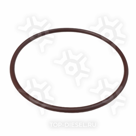 121316 Кольцо водяной помпы Cummins ISX PAI купить