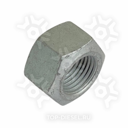 17309435 Гайка болта амортизатора M16x1.5 Schmitz/Iveco/MAN CNH купить рис.2