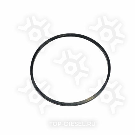 M3678536 Кольцо уплотнительное стакана форсунки Cummins ISX, Freightliner/International McBEE купить