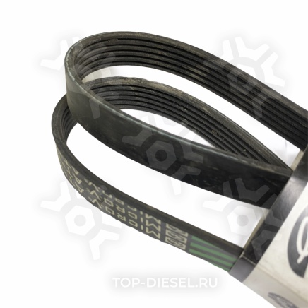 K060547 Ремень поликлиновой привода кондиционера Freightliner/Caterpillar C-15 Dayco купить рис.3