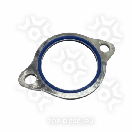 8165181SX Прокладка термостата D=46mm Volvo FH12 G1 Stellox купить