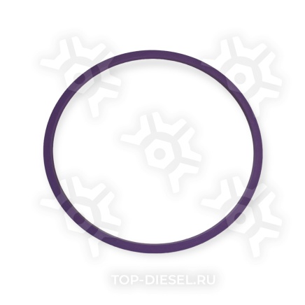 2299986 Ремкомплект двигателя полный DAF CF/XF 105 большой DAF купить рис.22