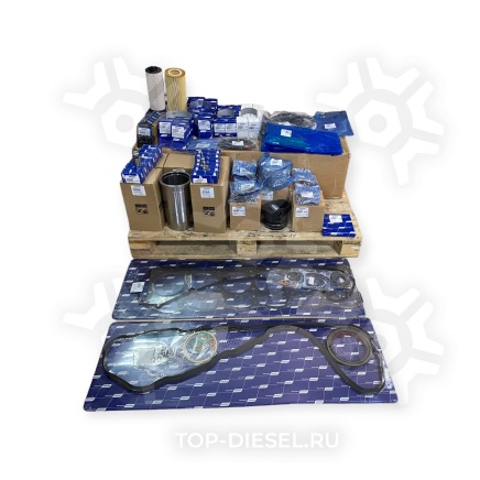 2299986 Ремкомплект двигателя полный DAF CF/XF 105 большой DAF купить