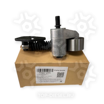 T09573001 Натяжитель ремня (в сборе) MAN, Iveco, Mercedes-Benz, Volvo Topcover купить рис.3