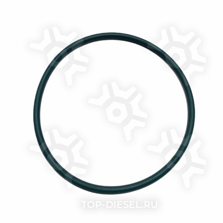 3102802 Уплотнительное кольцо патрубка турбины Cummins 3102802 купить