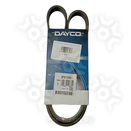 5PK1054 Ремень привода генератора International 9800 Cummins 11 Dayco купить рис.2