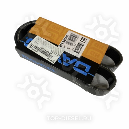 8PK880HD Ремень поликлиновой без кондиционера МАЗ/MAN TGA Dayco купить рис.2