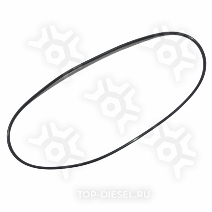 315621 кольцо уплотнительное резиновое !задн.ступицы 255x5 \MB Elring купить